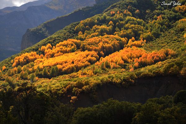 Pülümür’de Sonbahar Başkadır! galerisi resim 6