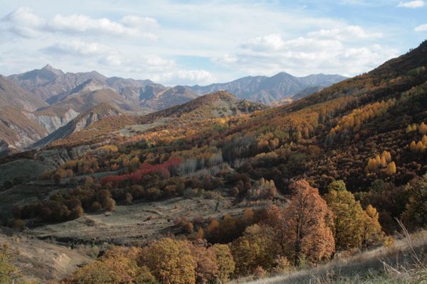 Tunceli'de Renk Cümbüşü galerisi resim 1