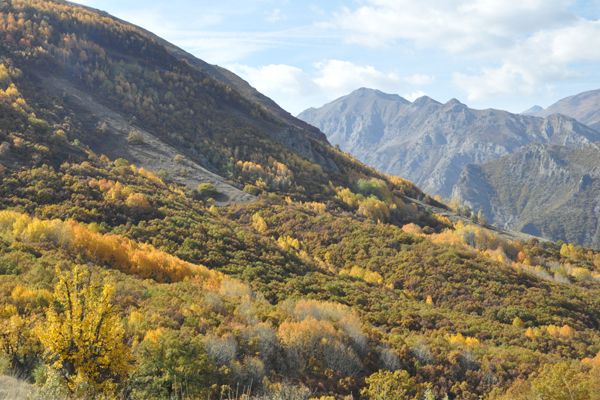 Tunceli'de Renk Cümbüşü galerisi resim 2