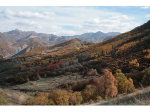 Tunceli'de Renk Cümbüşü