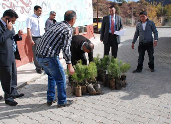 Tunceli’de Okullara Fidan dağıtımı yapıldı galerisi resim 3