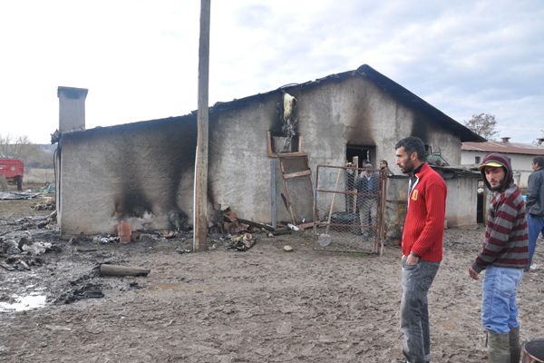 Çimenli köyünde yangın: 12 büyükbaş hayvan telef o galerisi resim 3