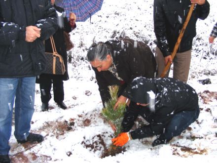 AK Parti Kadın Kolları Üyeleri, Fidan Dikti galerisi resim 2