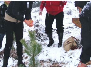 AK Parti Kadın Kolları Üyeleri, Fidan Dikti