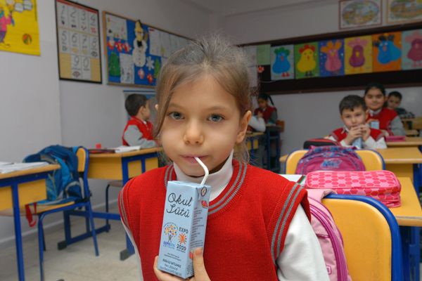 Tunceli'deki okullarda öğrencilere süt dağıtımı ba galerisi resim 2