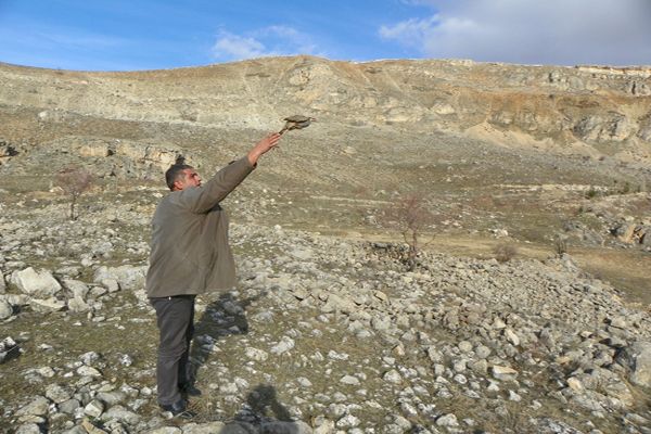 Çemişgezekli vatandaş evinde beslediği keklikleri galerisi resim 1