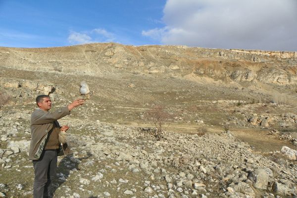 Çemişgezekli vatandaş evinde beslediği keklikleri galerisi resim 3