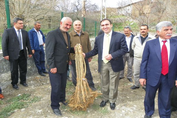 Çemişgezek’te Karadut fidanı dağıtıldı galerisi resim 1