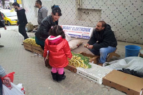 İşsizlerin ekmek kapısı Gulik, pazara indi galerisi resim 1