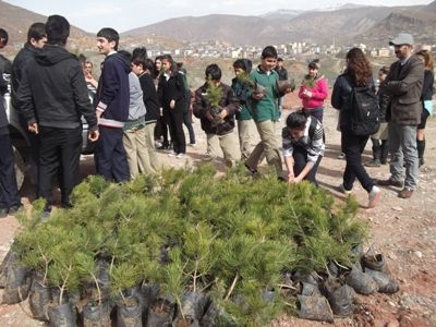 Orman Haftası etkinlikleri kapsamında 1000 fidan galerisi resim 2