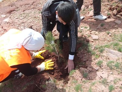 Orman Haftası etkinlikleri kapsamında 1000 fidan galerisi resim 3