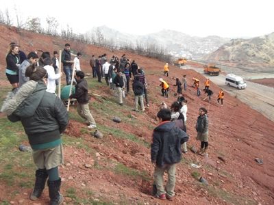 Orman Haftası etkinlikleri kapsamında 1000 fidan galerisi resim 4