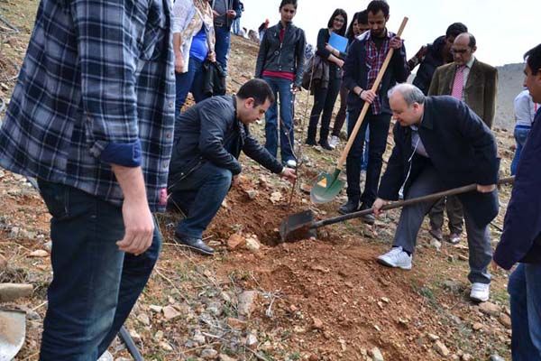 Üniversite öğrencileri 250 fidan dikti galerisi resim 2