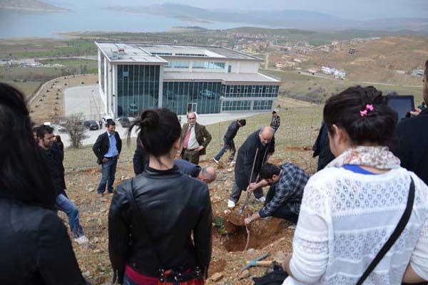 Üniversite öğrencileri 250 fidan dikti galerisi resim 3