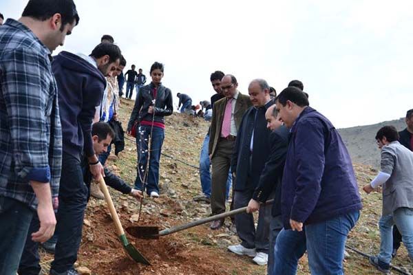 Üniversite öğrencileri 250 fidan dikti galerisi resim 4