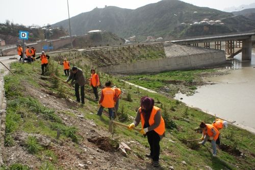 Bahar Çalışmaları Başladı galerisi resim 1