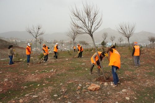 Bahar Çalışmaları Başladı galerisi resim 3