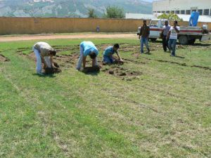 TUNCELİ STADI ZEMİNİ YENİLENİYOR