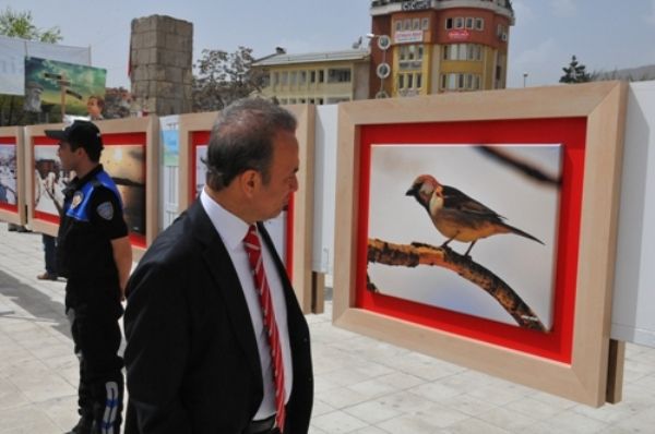 Tunceli’de Fotoğraf Sergisi galerisi resim 6