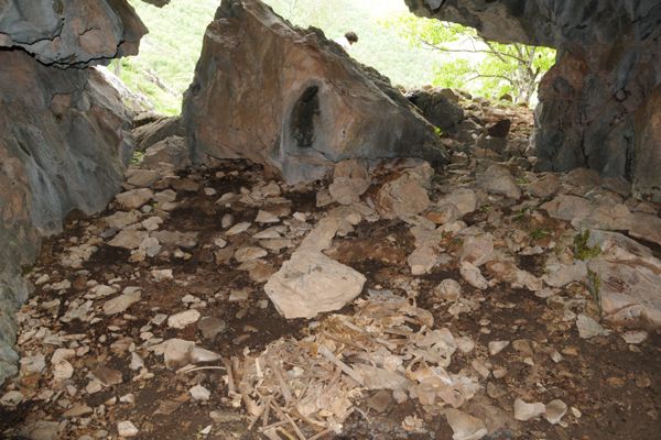 Yakınlarının kemiklerine 76 yıl sonra ulaşılabildi galerisi resim 2