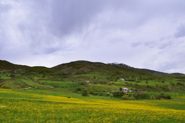 Pülümür’de Bahar Başkadır galerisi resim 1