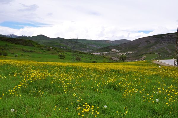 Pülümür’de Bahar Başkadır galerisi resim 3