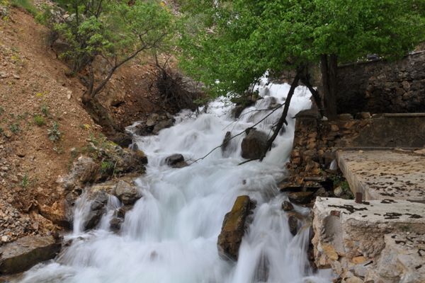 Pülümür’de Bahar Başkadır galerisi resim 5