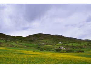 Pülümür’de Bahar Başkadır