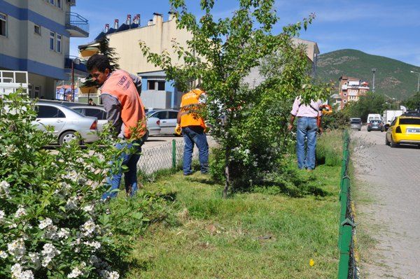 Çim Biçme Çalışmaları Başladı galerisi resim 2