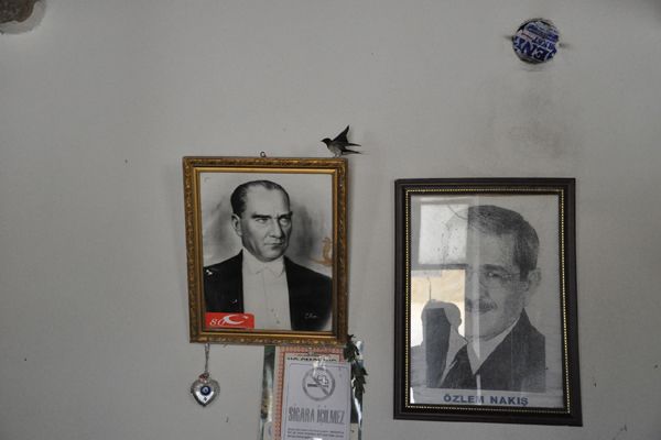 Kırlangıçlar kahveyi mesken tuttu galerisi resim 5