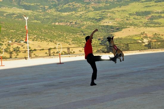 Jandarma'nın 174. Kuruluş Yıldönümü Çeşitli Etkinl galerisi resim 8