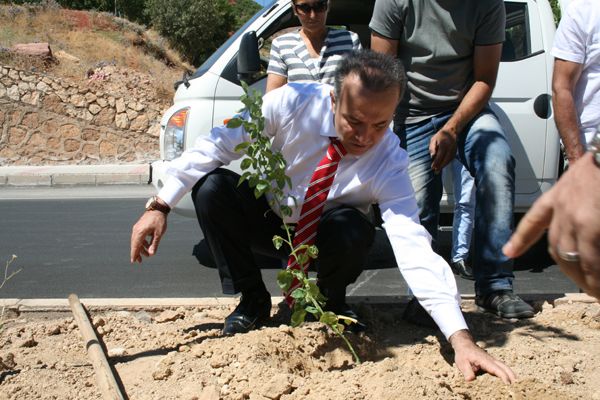 Tunceli İlk Üst Geçidine Kavuştu galerisi resim 1