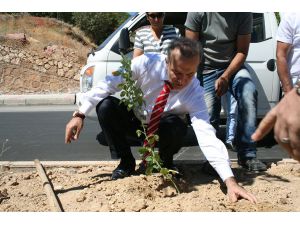 Tunceli İlk Üst Geçidine Kavuştu