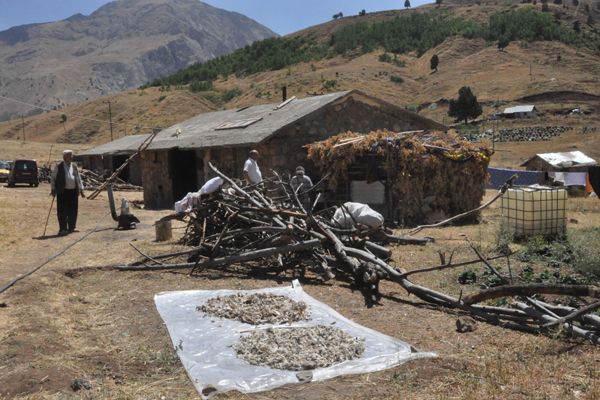 Köylerine Dönen Vatandaşlar Devlet Desteği Bekliyo galerisi resim 1