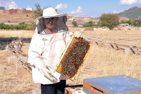 Tuncelili Kadın Arıcının Hedefi, Bal İhracatı galerisi resim 1