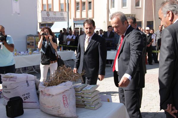 Ovacık Dağ Sarımsağı ve Fasulyesi  Markalaştırıldı galerisi resim 1