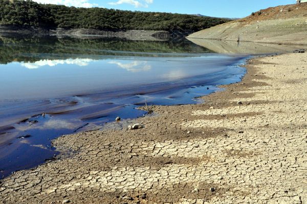 Fuel oil baraj gölünü kapladı galerisi resim 1