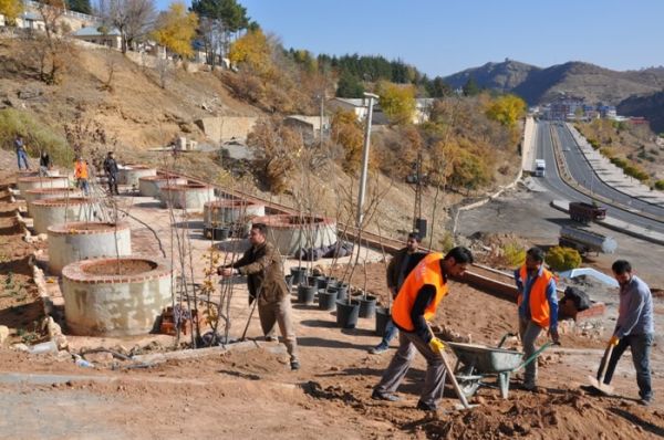 Parklarda Bakım ve Ağaç Dikme Çalışmaları Sürüyor galerisi resim 1