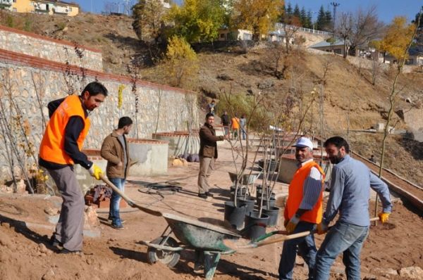 Parklarda Bakım ve Ağaç Dikme Çalışmaları Sürüyor galerisi resim 3