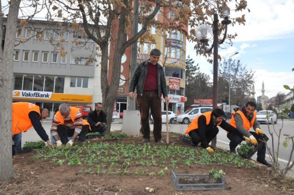 Tunceli'de Çevre Düzenlemesi Çalışmaları galerisi resim 1