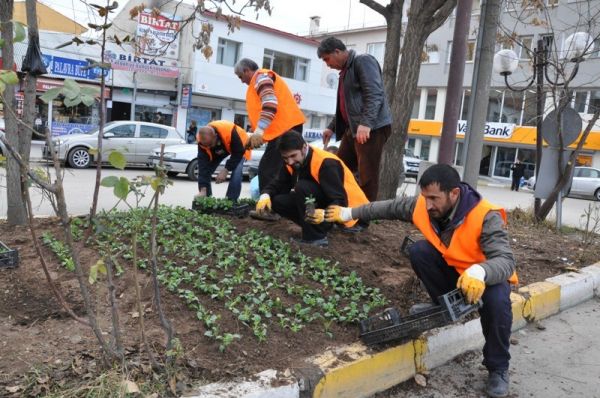 Tunceli'de Çevre Düzenlemesi Çalışmaları galerisi resim 2