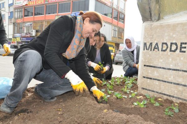 Tunceli'de Çevre Düzenlemesi Çalışmaları galerisi resim 3