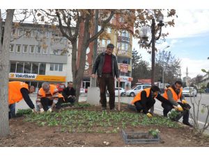 Tunceli'de Çevre Düzenlemesi Çalışmaları