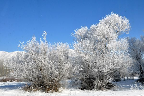 Ovacık'ta Soğuk Hava Etkili Oluyor galerisi resim 1