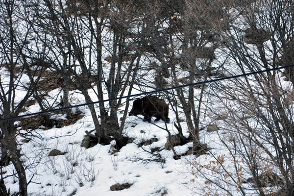 Ovacık'ta Soğuk Hava Etkili Oluyor galerisi resim 1