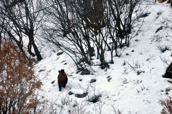 Ovacık'ta Soğuk Hava Etkili Oluyor galerisi resim 2