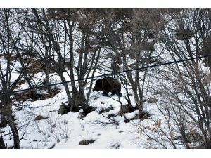 Ovacık'ta Soğuk Hava Etkili Oluyor