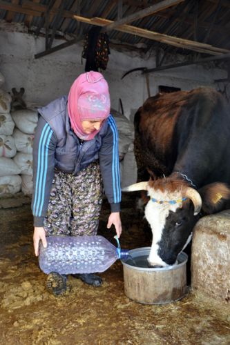 Hayvanlara 2 Km Uzaktan Bidonlarla Su Taşıyorlar galerisi resim 4