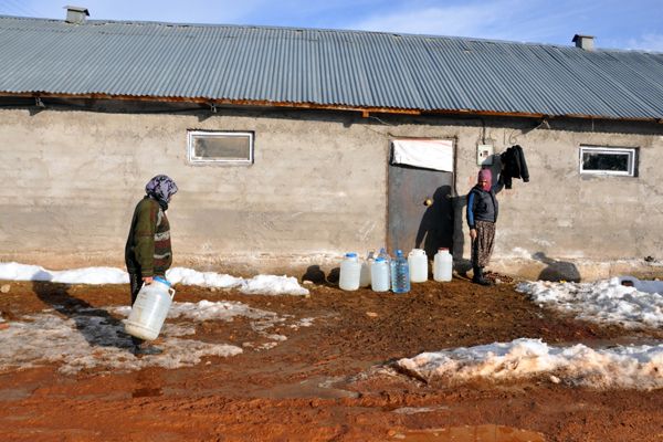 Hayvanlara 2 Km Uzaktan Bidonlarla Su Taşıyorlar galerisi resim 5