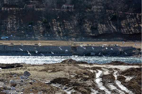 Biyolojik Çeşitliliği Kayıt Altına Alınıyor galerisi resim 4